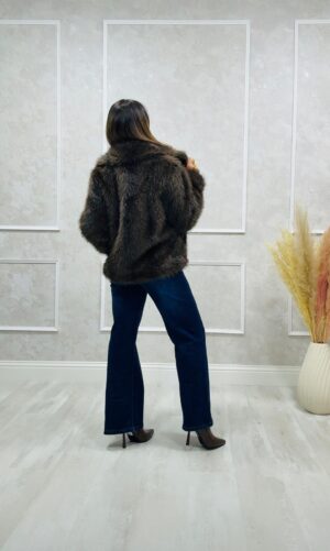 WhatsApp Image 2026-01-10 at 18.30.41