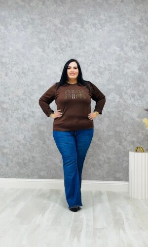 WhatsApp Image 2026-01-13 at 14.04.05