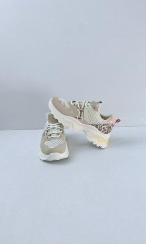 WhatsApp Image 2026-01-14 at 17.14.29 (1)