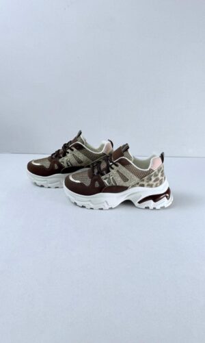 WhatsApp Image 2026-01-14 at 17.14.29 (3)