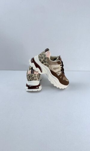 WhatsApp Image 2026-01-14 at 17.14.29 (7)